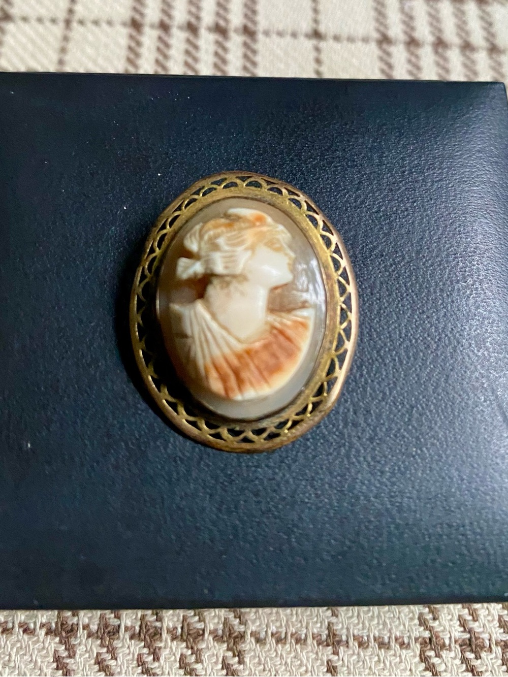 Vintage Shell Cameo Brooch in Cream and Orange with Gold Frame